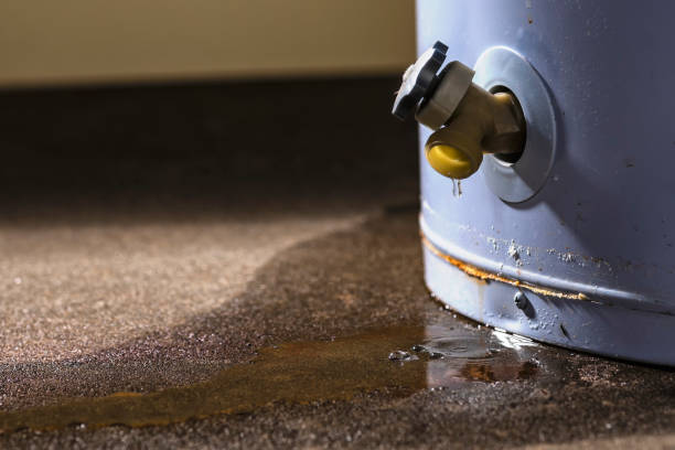 Best Water damage restoration specialists  in Sanborn, NY