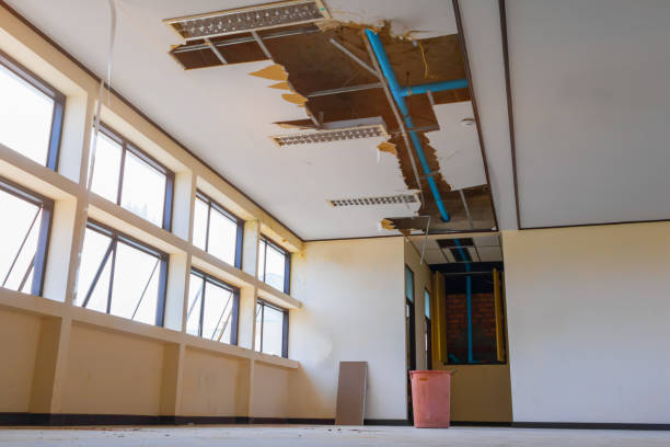 Best Flood damage cleanup  in Sanborn, NY