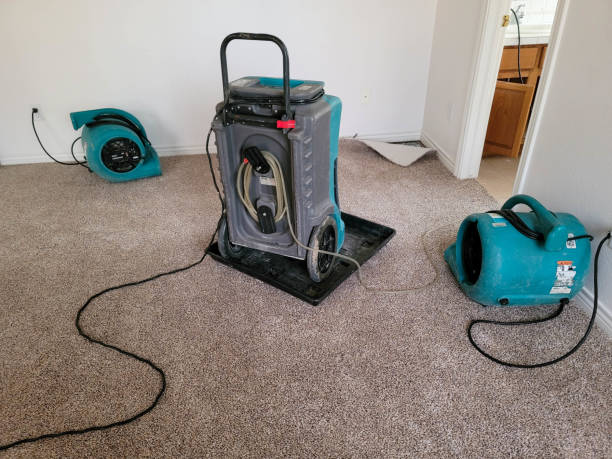 Best 24/7 water damage repair  in Sanborn, NY