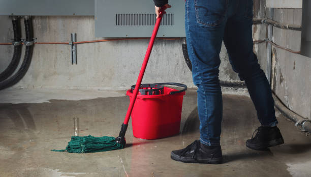 Best Local water damage restoration  in Sanborn, NY