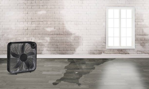 Best 24-hour water damage restoration  in Sanborn, NY