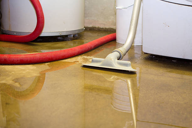 Best Flood restoration services  in Sanborn, NY