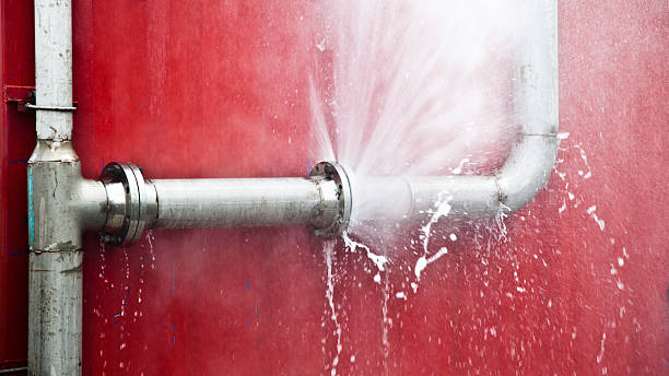 Best Flood damage cleanup  in Sanborn, NY